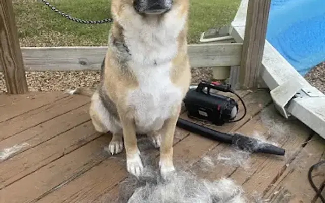 Makayla’s House Call Dog Wash in Warwick, AL