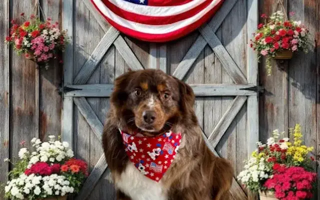Love For Paws Grooming, LLC in Lake Elsinore, CA