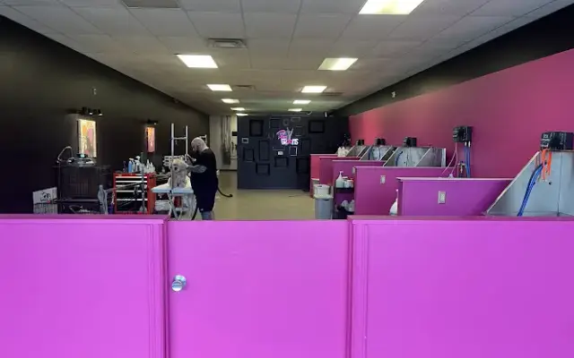 Pet Grooms in Westerville, OH