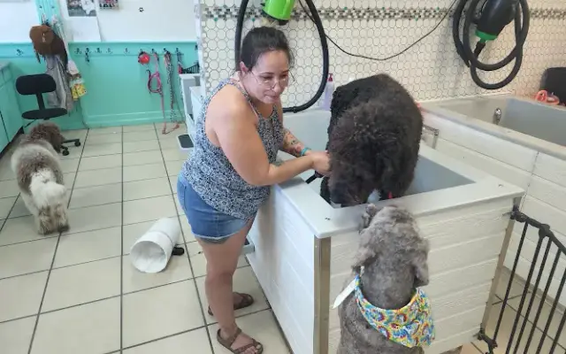 K9 Splash-N-Dash in Gulf Breeze, FL