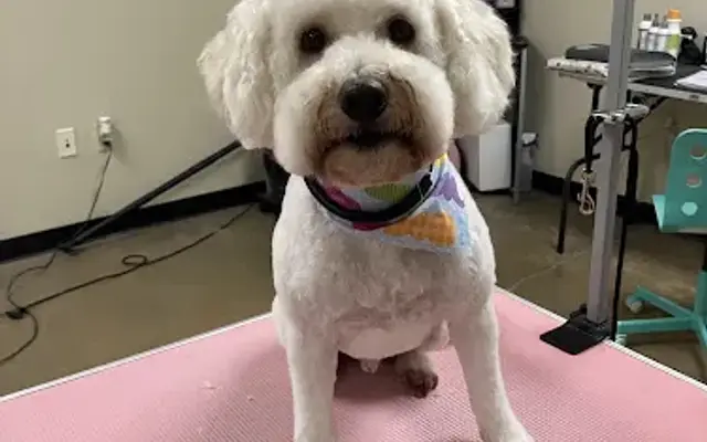 BarkN’Bath Dog Grooming in York, SC