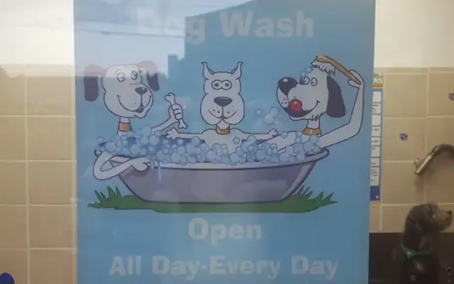 Patriot Dog Wash in Pittston, PA