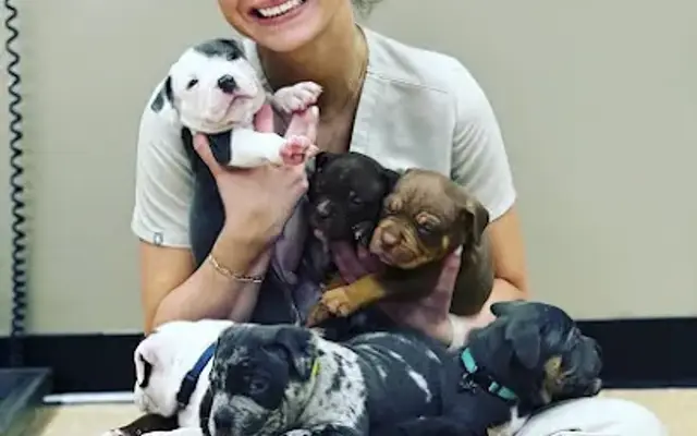 Harahan Veterinary Hospital in Harahan, LA