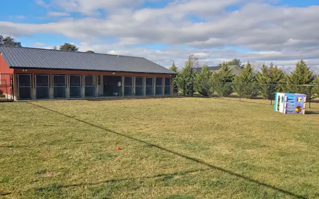 Mine Branch Dog Ranch, LLC. in Crimora, VA