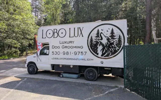 Lobo Lux Dog Grooming in Nevada City, CA
