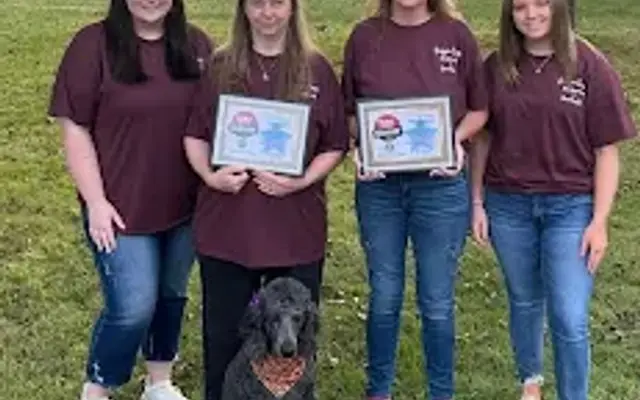 Doggie Days Pet Grooming & Boarding LLC in Taylorsville, NC