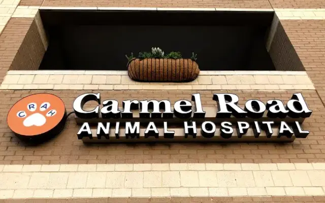 Carmel Road Animal Hospital in Charlotte, NC