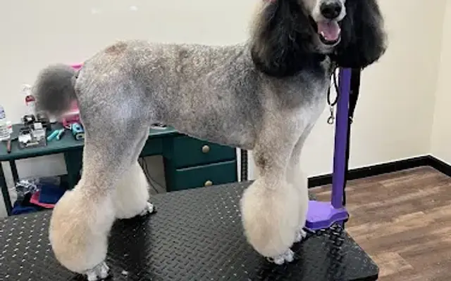 The Grooming Boutique in Southern Pines, NC