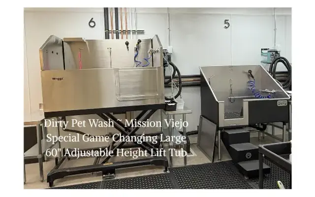 DIRTY PET WASH in Mission Viejo, CA