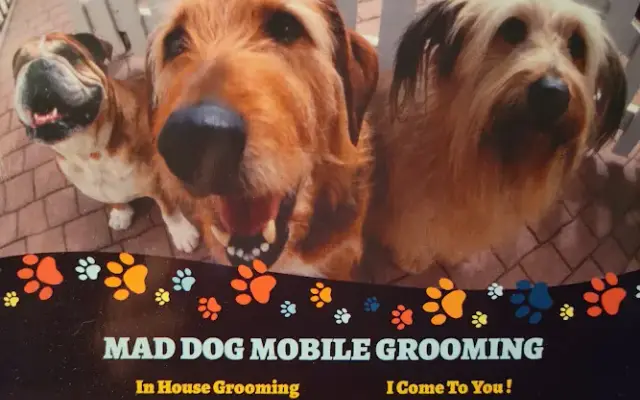 Mad Dog Mobile Grooming - in home Grooming in Port Huron, MI