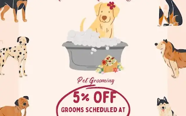 Dear Daisy Pet Grooming in Madera, CA