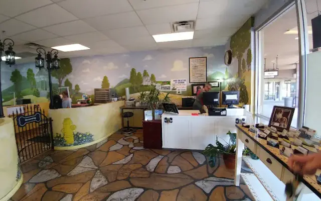 Above & Beyond Grooming in Phoenix, AZ