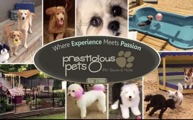 Prestigious Pets Salon & Pet Hotel in Vinemont, AL