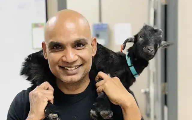 Care Pet Animal Hospital in Jacksonville, FL