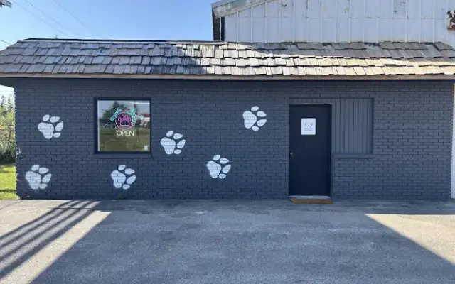 Family Pet Grooming in Alpena, MI