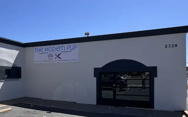 The Modern Pup in Redding, CA