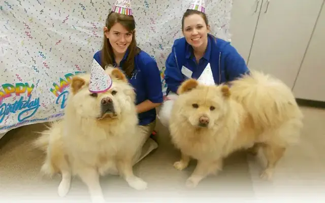 Bradford Hills Pet Hotel & Grooming Salon in Wexford, PA
