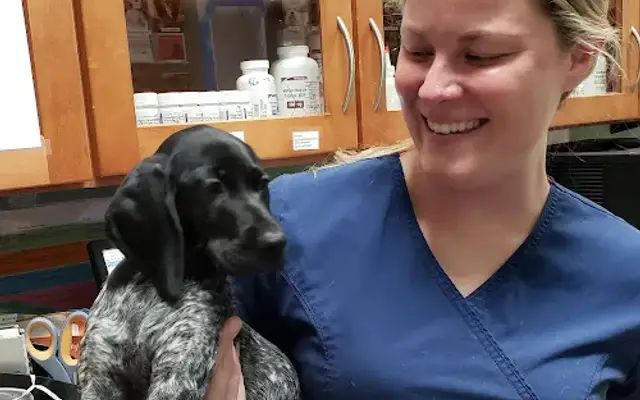 Bergheim Pet Hospital & Clinic in Boerne, TX