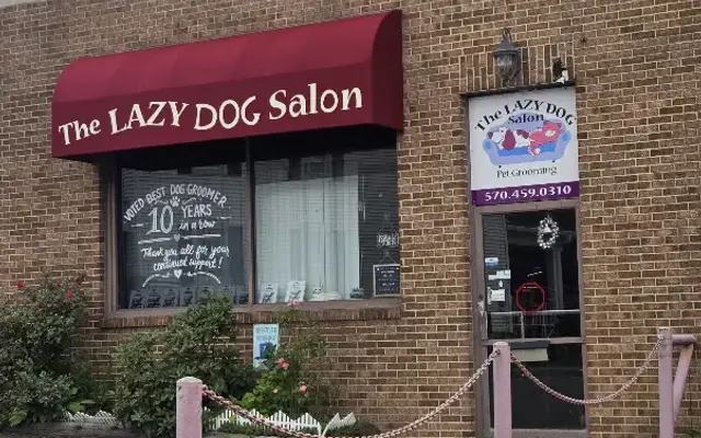 The Lazy Dog Salon in West Hazleton, PA