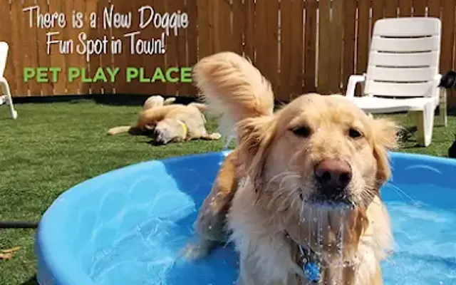 Pet Play Place in Canton, GA