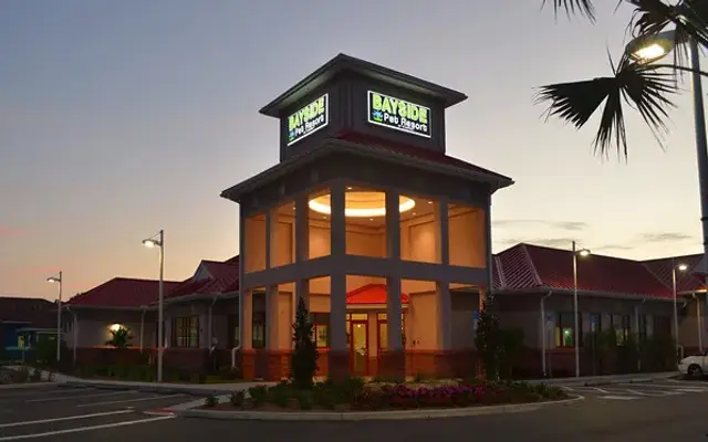 Bayside Pet Resort in Osprey, FL