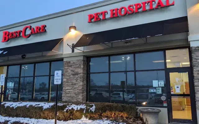 Best Care Pet Hospital in Omaha, NE