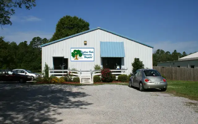 Beatline Oaks Veterinary Hospital in Long Beach, MS