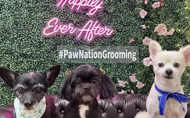 Paw Nation Grooming in Cypress, CA