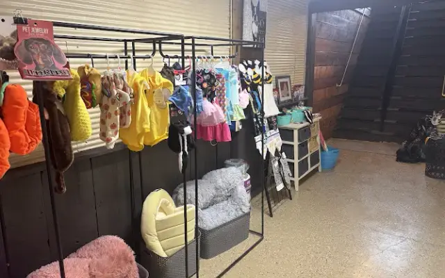 Buzzy Bees Pet Spa in St Cloud, MN