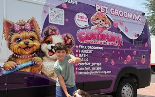 Comfort Pet Spa & Teeth Cleaning in St. Petersburg, FL