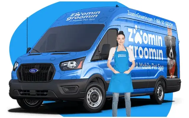 Zoomin Groomin in Raleigh, NC