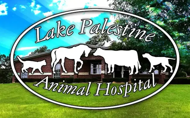 Lake Palestine Animal Hospital in Frankston, TX