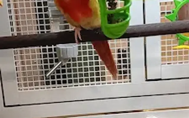 PetSmart Grooming in Oxford, AL