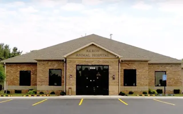 Akron Animal Hospital in Akron, NY