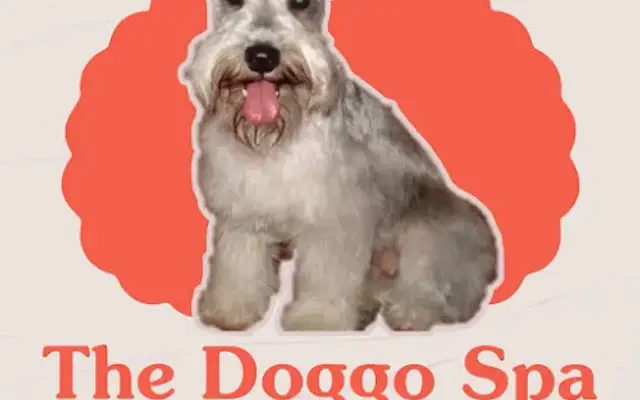 The Doggo Spa in Watauga, TX