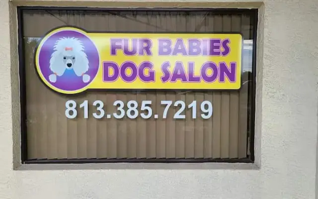 Fur Babies Dog Salon in Port Richey, FL