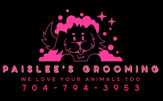 Paislee's grooming in Concord, NC