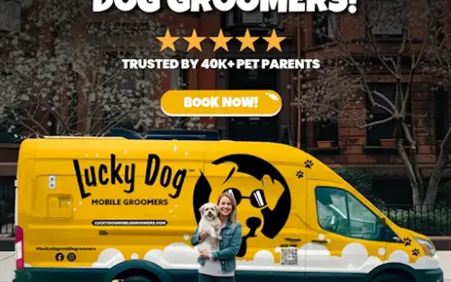 Lucky Dog Mobile Groomers - Houston, TX in Houston, TX