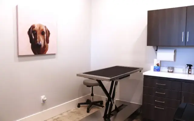 Modern Vet in Springfield, TN