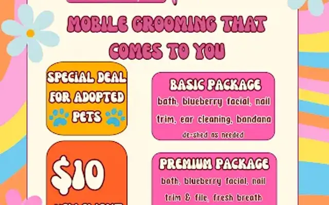 Groovy Paws Pet Salon, LLC in Nunnelly, TN