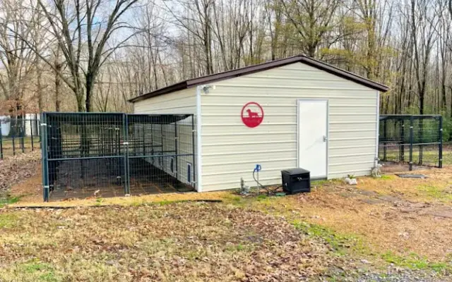 Chasing Tails Boarding & Grooming in DeWitt, AR