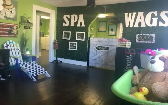 Spa Wags in Powder Springs, GA