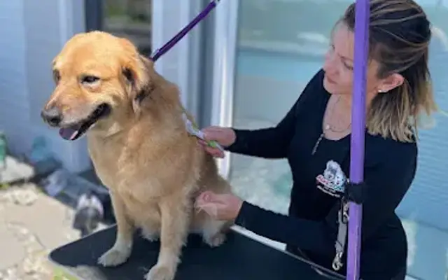 Abril & Coco Pet Care in Saco, ME