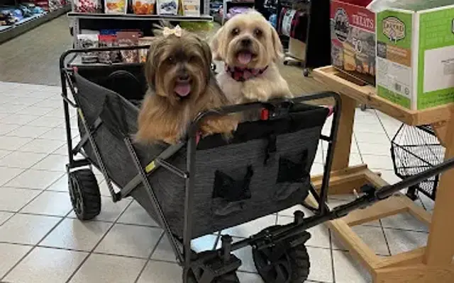 Green Earth Pet Salon in Naples, FL