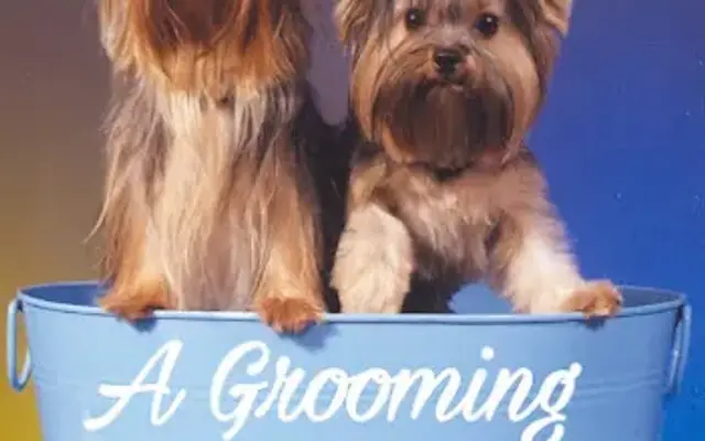A Grooming in Picayune, MS