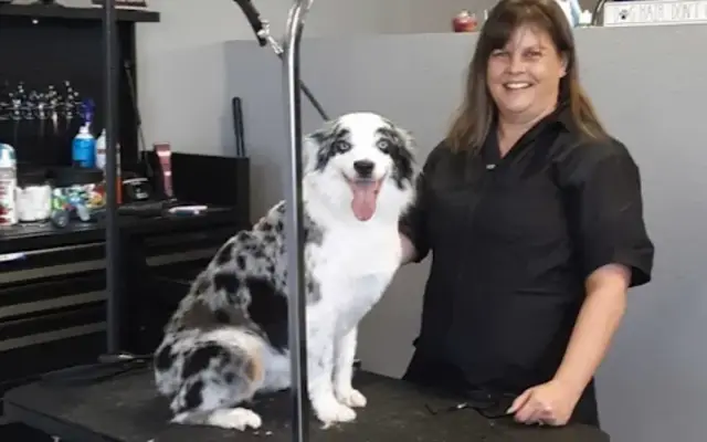 Traci's Pet Stop in Longview, WA
