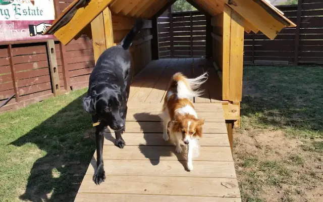 Yetto's Bed & Biscuit in Birdsboro, PA