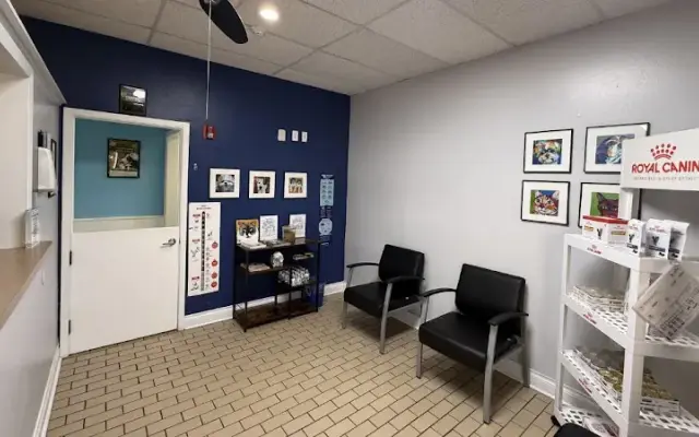 Rice Village Animal Hospital in Houston, TX