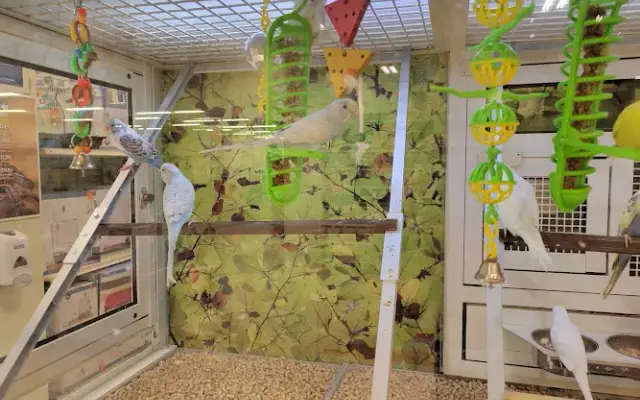 PetSmart Grooming in Rancho Cordova, CA