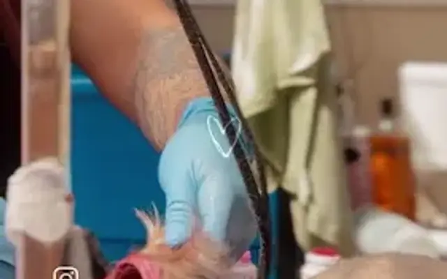 The Grooming Garage in Los Angeles, CA